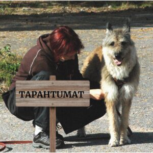 Tapahtumat